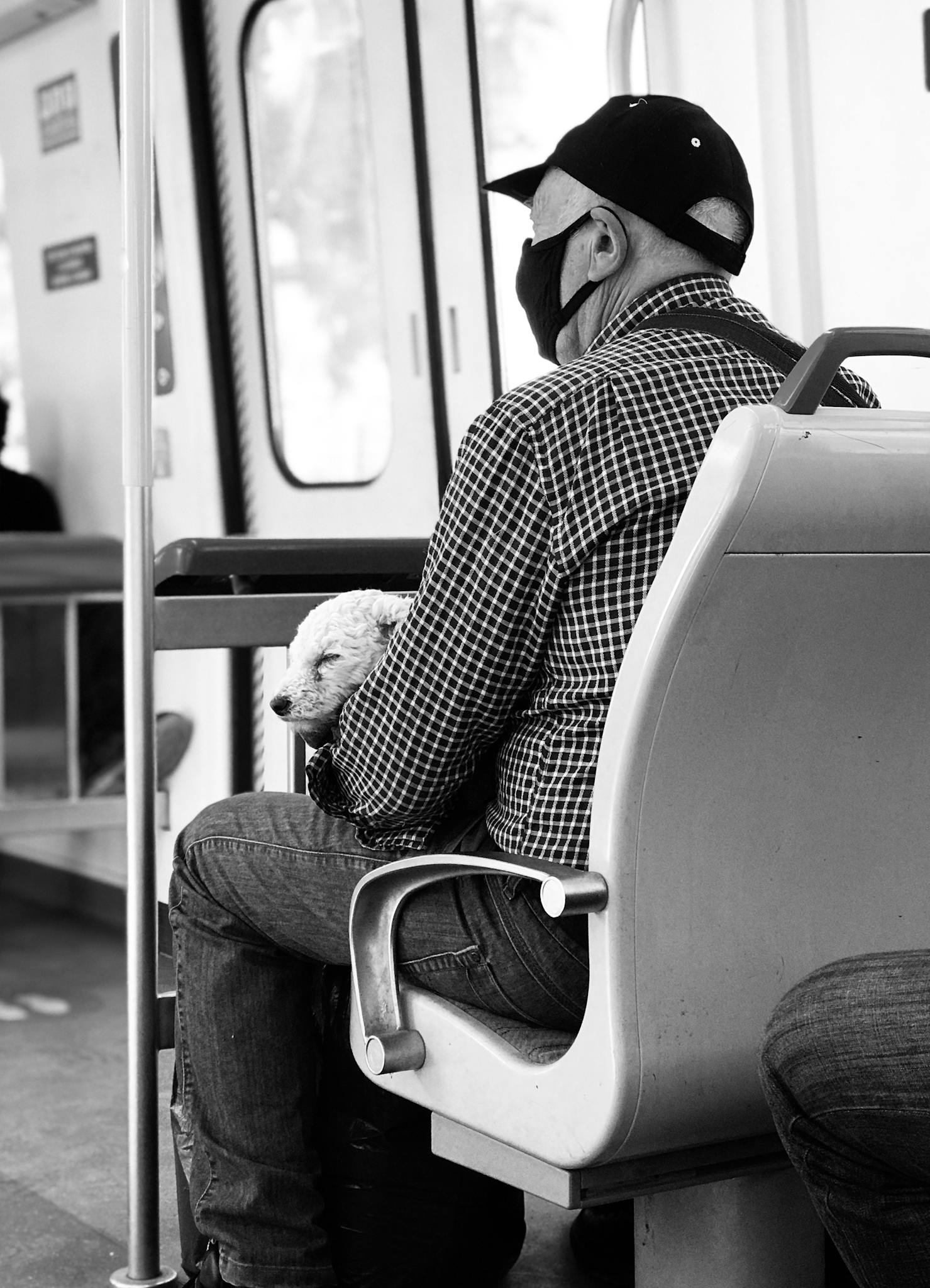 Man wearing face mask sits with a dog on his lap in a train, captured in black and white.