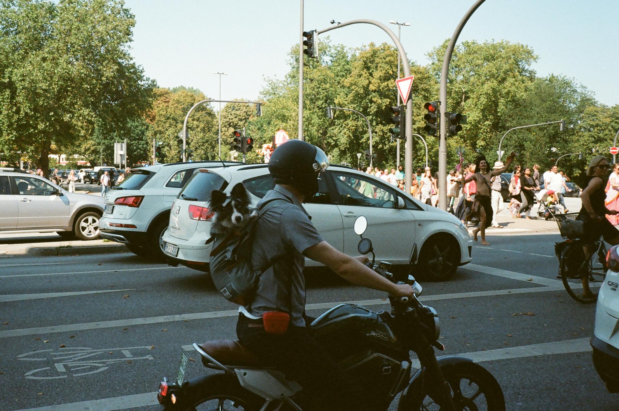 Motorcyclist carrying a dog in a backpack at a busy urban intersection with traffic and pedestrians.