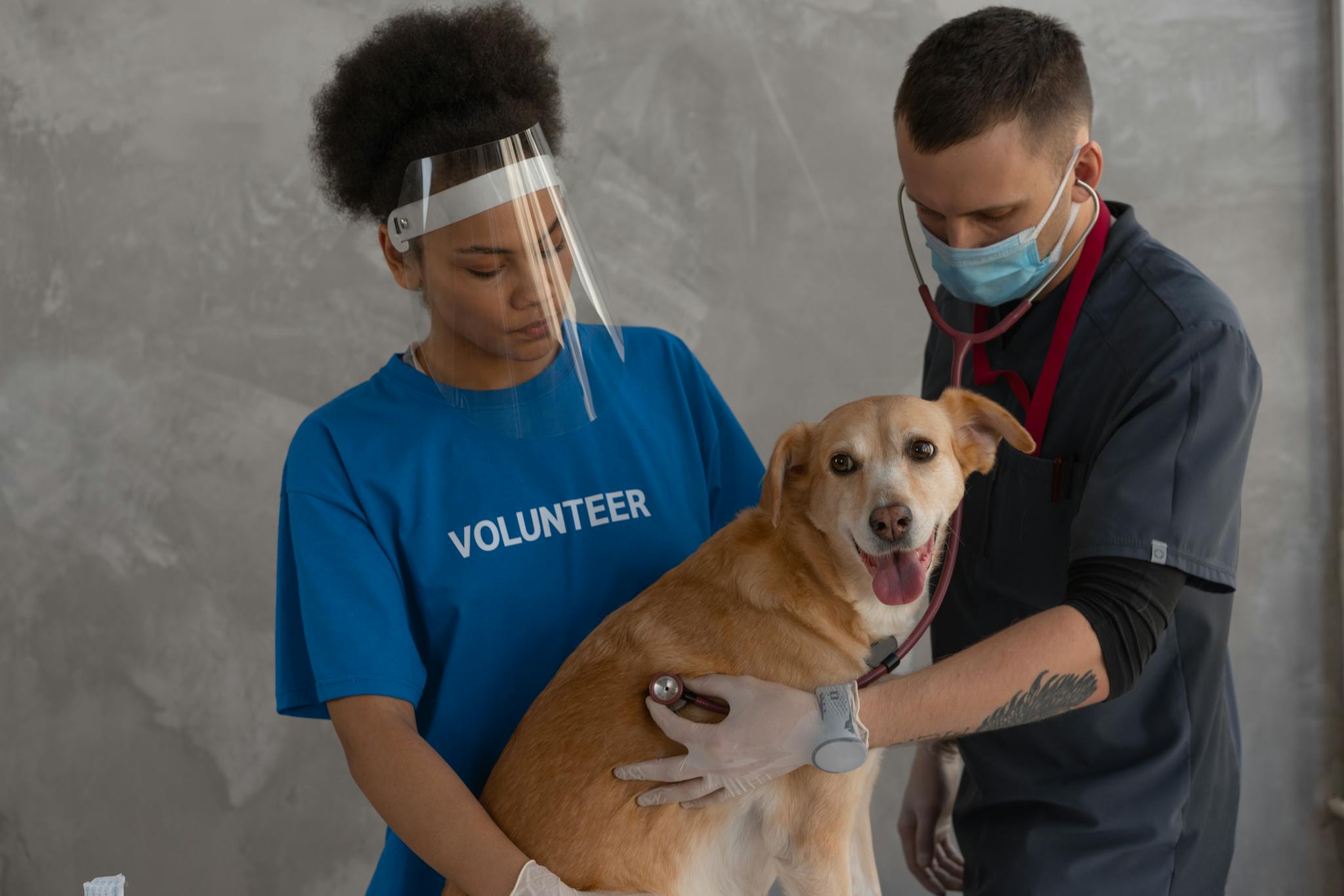 Veterinarian and volunteer care for a dog during a check-up at the clinic.